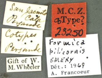 Media type: image; Entomology 23250   Aspect: labels
